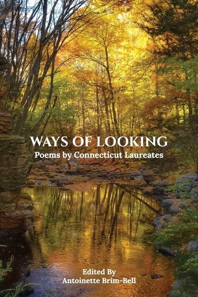 Ways of Looking