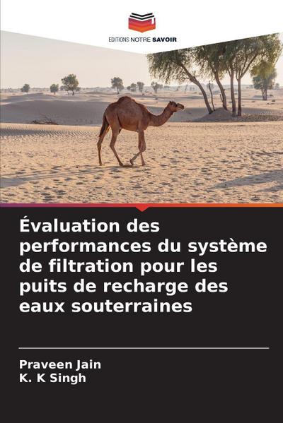 Évaluation des performances du système de filtration pour les puits de recharge des eaux souterraines