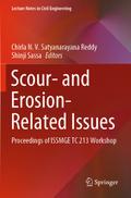 Scour- and Erosion-Related Issues