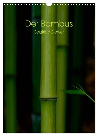 Der Bambus (Wandkalender 2024 DIN A3 hoch), CALVENDO Monatskalender