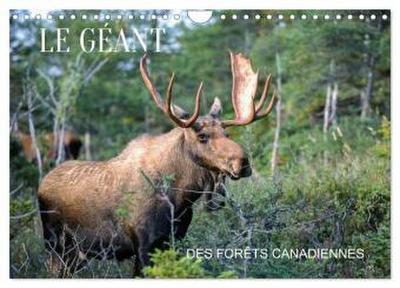 LE GÉANT DES FORÊTS CANADIENNES (Calendrier mural 2026 DIN A4 vertical), CALVENDO calendrier mensuel