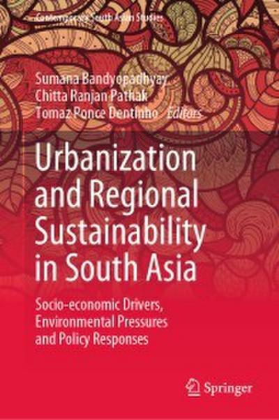 Urbanization and Regional Sustainability in South Asia