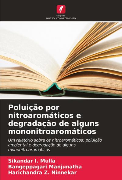Poluição por nitroaromáticos e degradação de alguns mononitroaromáticos