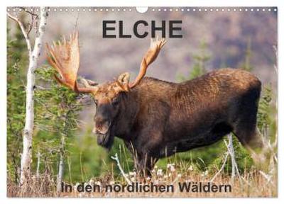 ELCHE In den nördlichen Wäldern (Wandkalender 2026 DIN A3 quer), CALVENDO Monatskalender