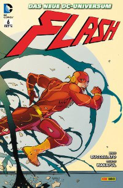 Flash - Bd. 6: Geisterjagd in Central City