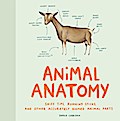 Animal Anatomy