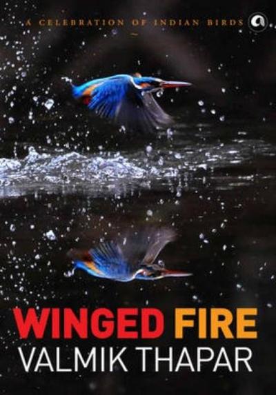 Winged Fire