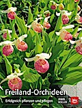 Freiland-Orchideen
