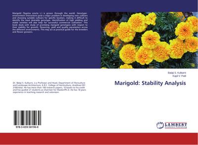 Marigold: Stability Analysis