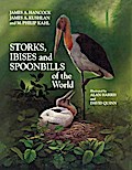 Storks, Ibises and Spoonbills of the World
