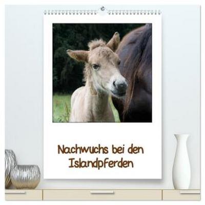 Nachwuchs bei den Islandpferden (hochwertiger Premium Wandkalender 2026 DIN A2 hoch), Kunstdruck in Hochglanz