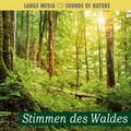 Naturgeräusche - Stimmen des Waldes: SOUNDS OF NATURE