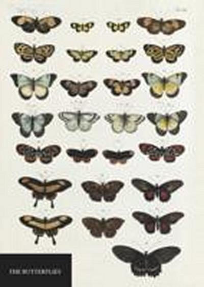 Natural History Museum Butterflies Notebook