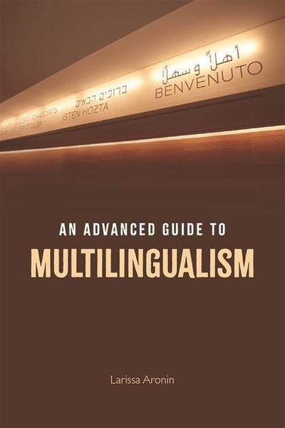 Advanced Guide to Multilingualism