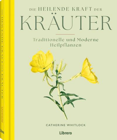 Die heilende Kraft der Kräuter