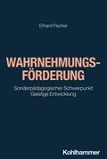 Wahrnehmungsförderung