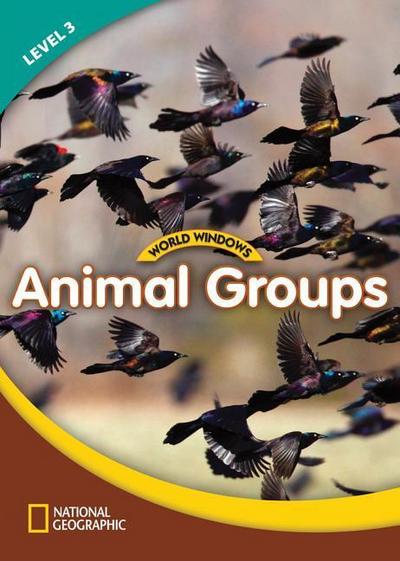 World Windows 3 (Science): Animal Groups: Content Literacy, Nonfiction Reading, Language & Literacy