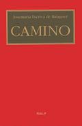 Camino