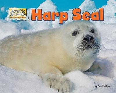 Harp Seal