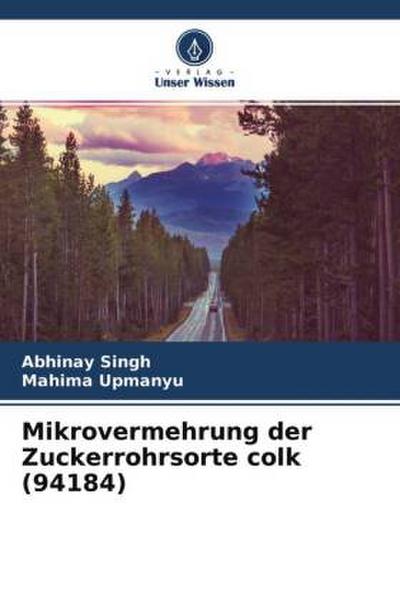 Mikrovermehrung der Zuckerrohrsorte colk (94184)