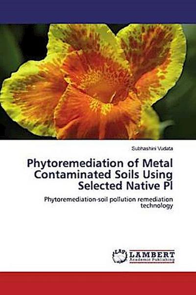 Phytoremediation of Metal Contaminated Soils Using Selected Native Pl