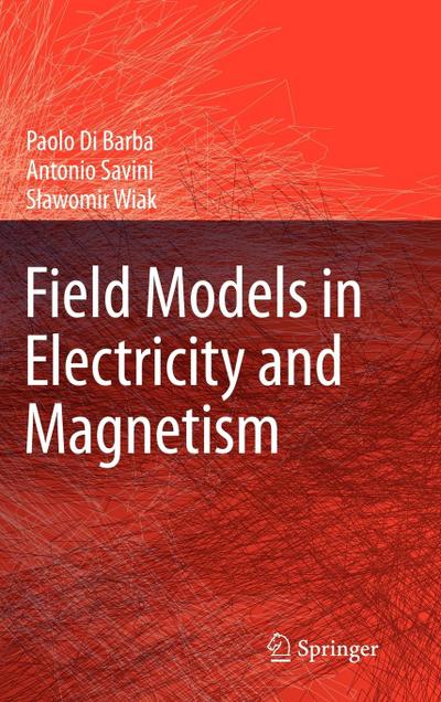 Field Models in Electricity and Magnetism
