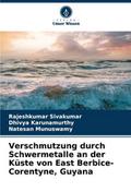 Verschmutzung durch Schwermetalle an der Küste von