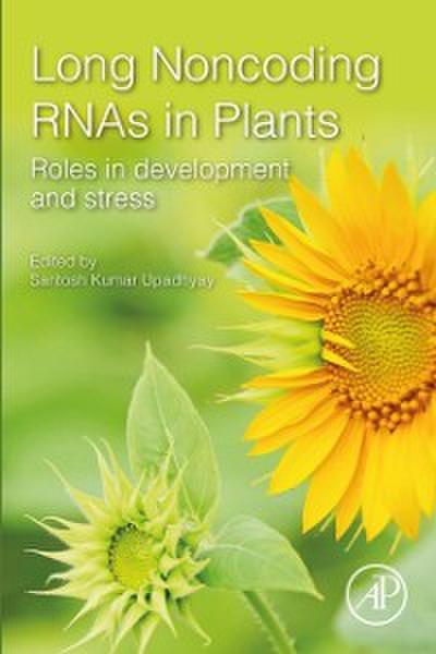 Long Noncoding RNAs in Plants