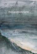 DIES GEATMETE LICHT / DES GSCHNUPFTI LIECHT