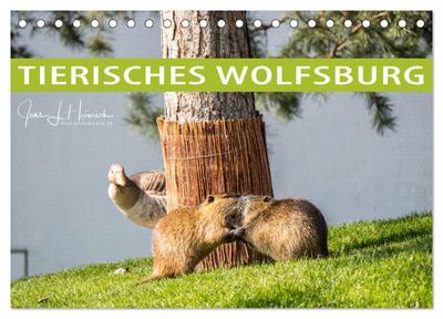 Tierisches Wolfsburg (Tischkalender 2024 DIN A5 quer), CALVENDO Monatskalender