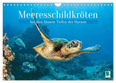 Meeresschildkröten: Aus den blauen Tiefen der Ozeane (Wandkalender 2026 DIN A4 quer), CALVENDO Monatskalender