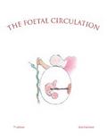 The Foetal Circulation