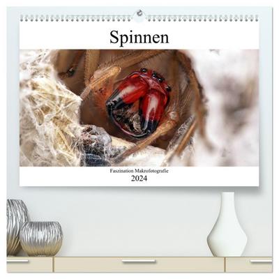 Faszination Makrofotografie: Spinnen (hochwertiger Premium Wandkalender 2024 DIN A2 quer), Kunstdruck in Hochglanz