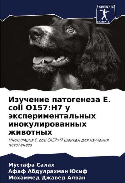 Izuchenie patogeneza E. coli O157:H7 u äxperimental’nyh inokulirowannyh zhiwotnyh
