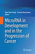 MicroRNA in Development and in the Progression of Cancer