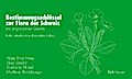 Bestimmungsschlüssel zur Flora der Schweiz und angrenzender Gebiete