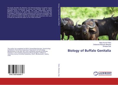Biology of Buffalo Genitalia