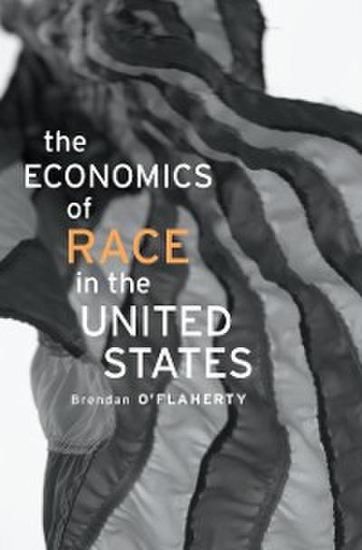 Economics of Race in the United States