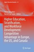 Higher Education, Stratification, and Workforce Development