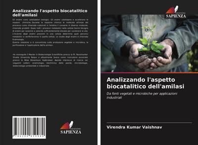 Analizzando l’aspetto biocatalitico dell’amilasi