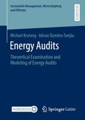 Energy Audits