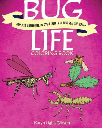 Bug Life Coloring Book