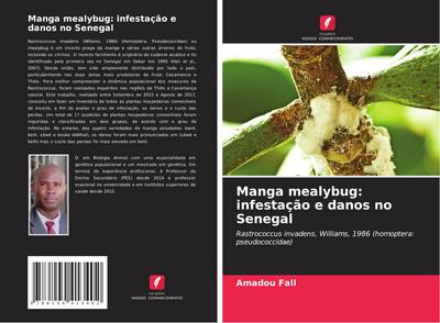 Manga mealybug: infestação e danos no Senegal
