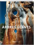 Arbres géants de Suisse