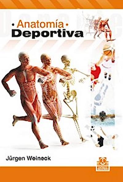 Anatomía deportiva