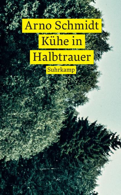 Kühe in Halbtrauer (suhrkamp taschenbuch)