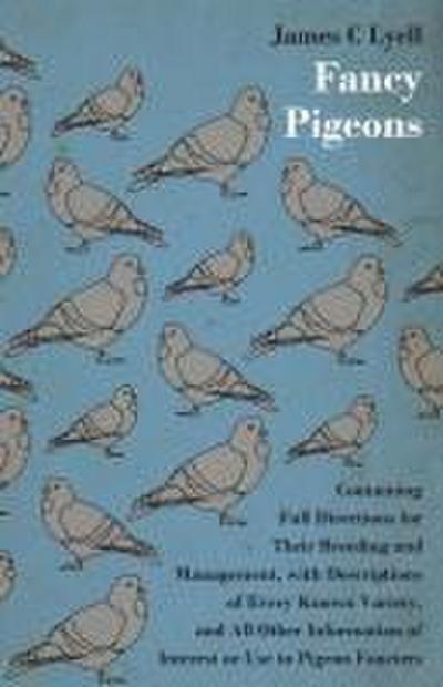 Fancy Pigeons
