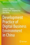 Development Practice of Digital Business Environme