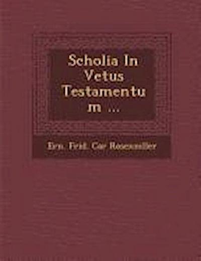 Scholia in Vetus Testamentum ...