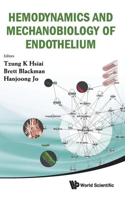 Hemodynamics and Mechanobiology of Endothelium